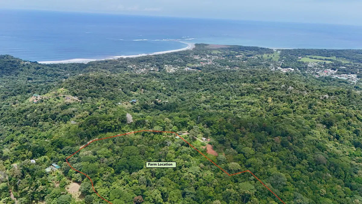 Uvita Development Farm - 40.47 Acres Estate