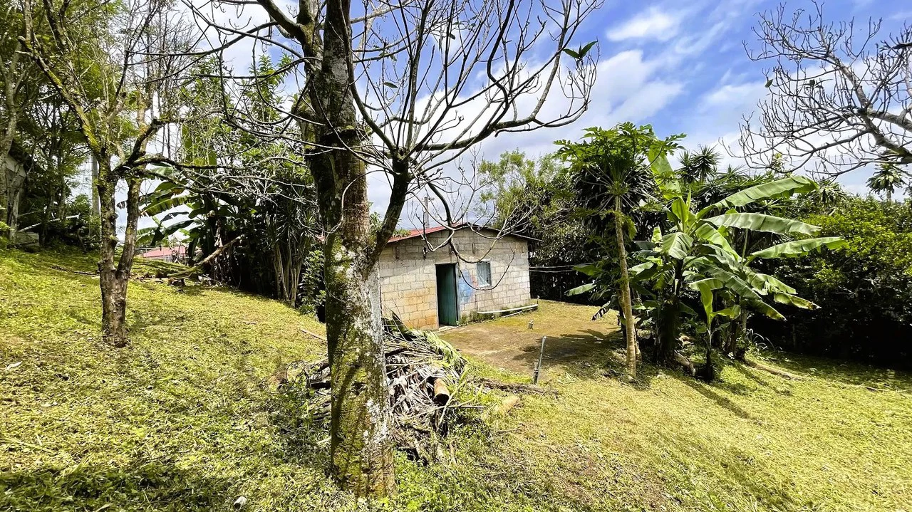 INVESTMENT: HOUSE & LARGE LOT IN SAN ISIDRO, SAN RAMON: House For Sale in San Ramón - Gallery image 14