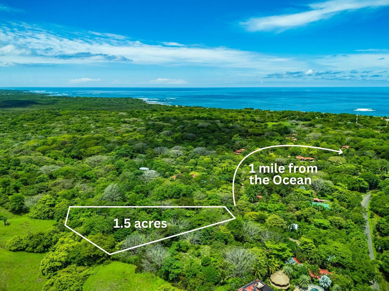 Tierra Pacifica #22: 1.5 Acre Homesite with Water Meter - Gallery image 6