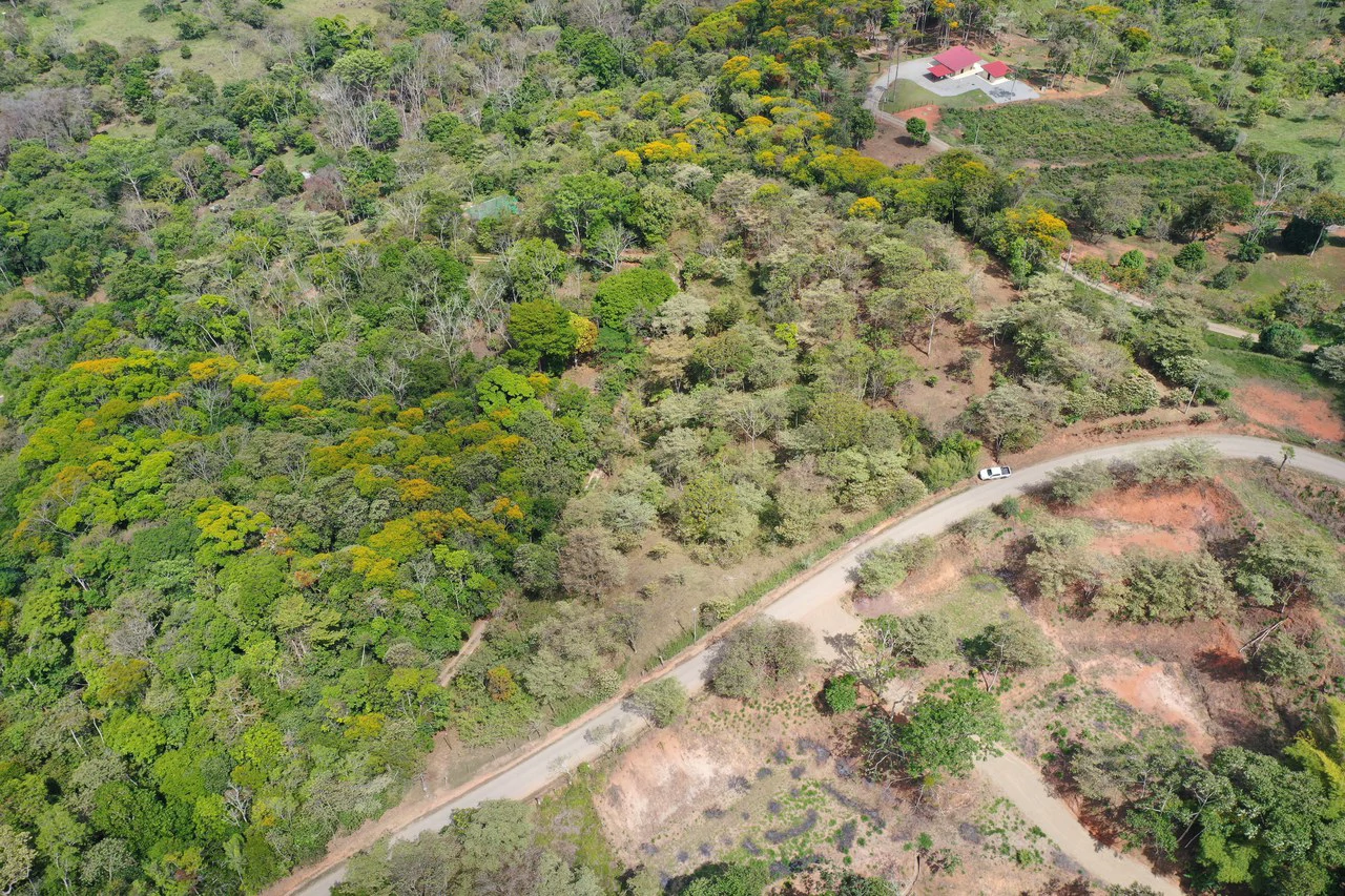 Elevated Two and a Half Acres with Cool Breeze in San Isidro del General - Gallery image 4