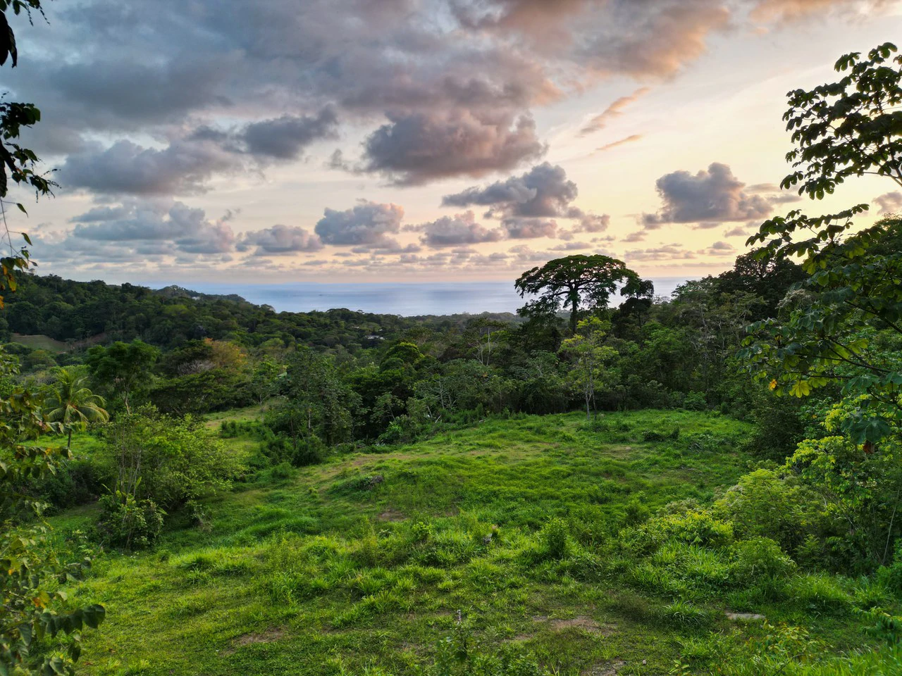 Build Your Vision in Uvita – 15.9 Ocean View Acres with Easy Access + Utilities Ready! - Gallery image 3