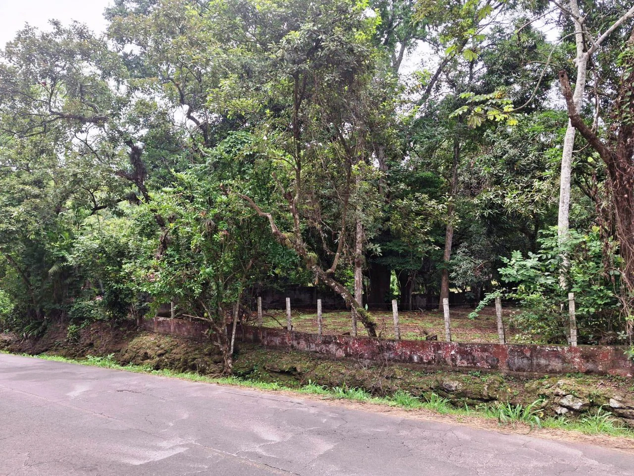 Flat Building Lot: 500 m2 Residential Lot in Atenas - photo 8