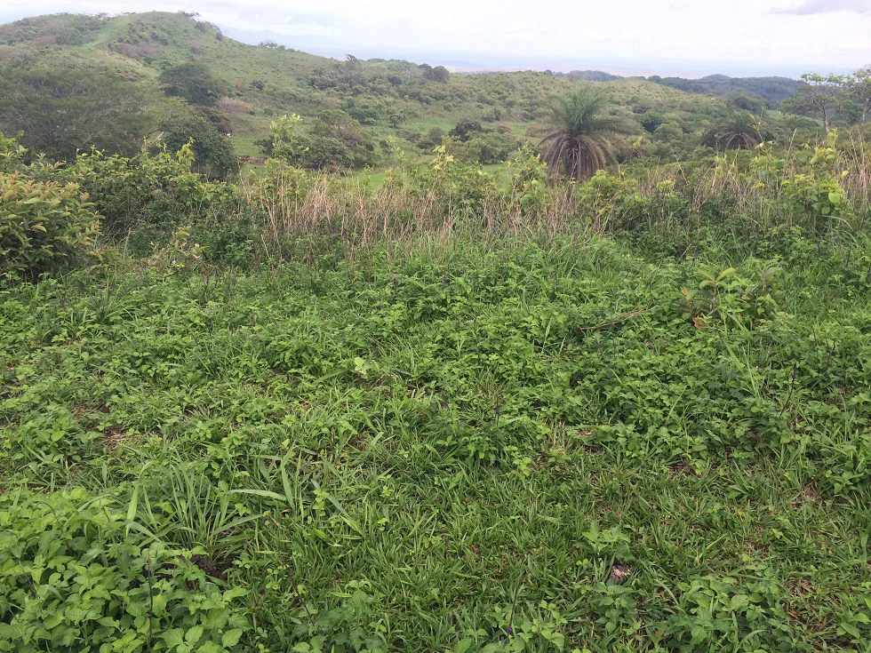 Mountain Property for Sale with charming 360º views of Guayabos Valley and the Volcanoes - Gallery image 28