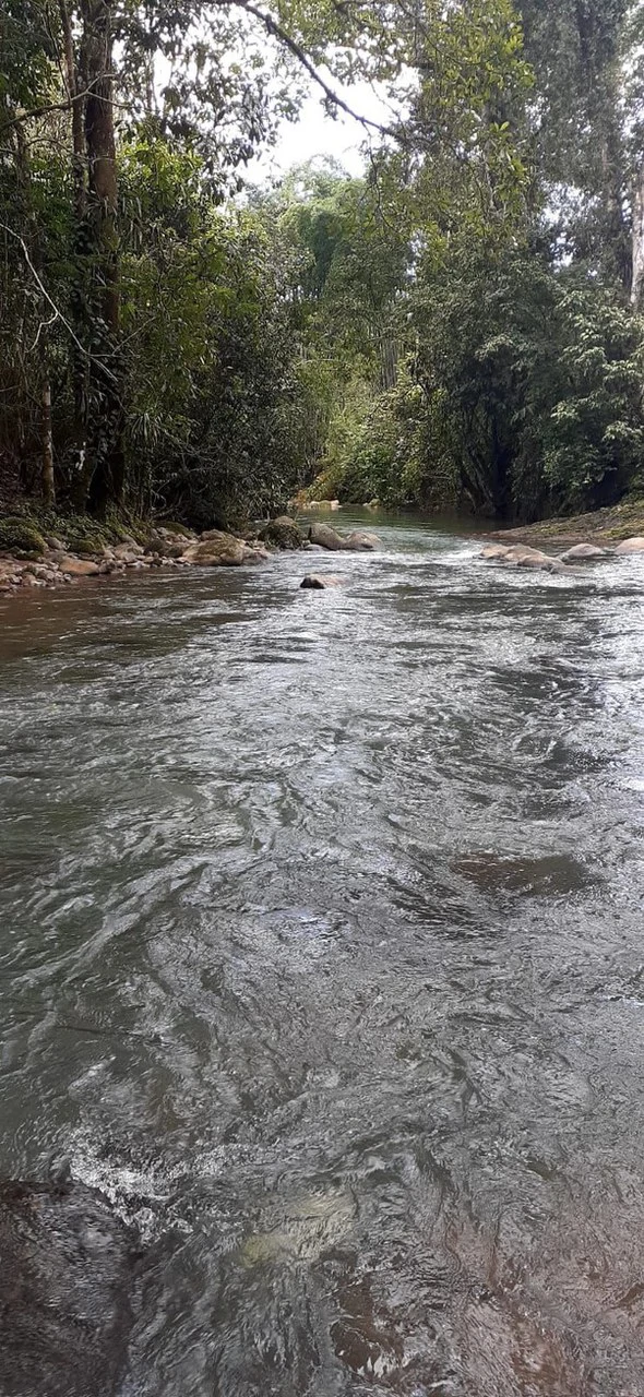SECLUDED PARADISE WITH STUNNING VIEWS, WATERFALLS & ABUNDANT WILDLIFE - Gallery image 6