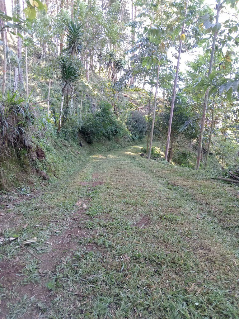 CAPTIVATING OCEAN AND PANORAMIC MOUNTAIN VIEW FINCA IN PURISCAL - Gallery image 6