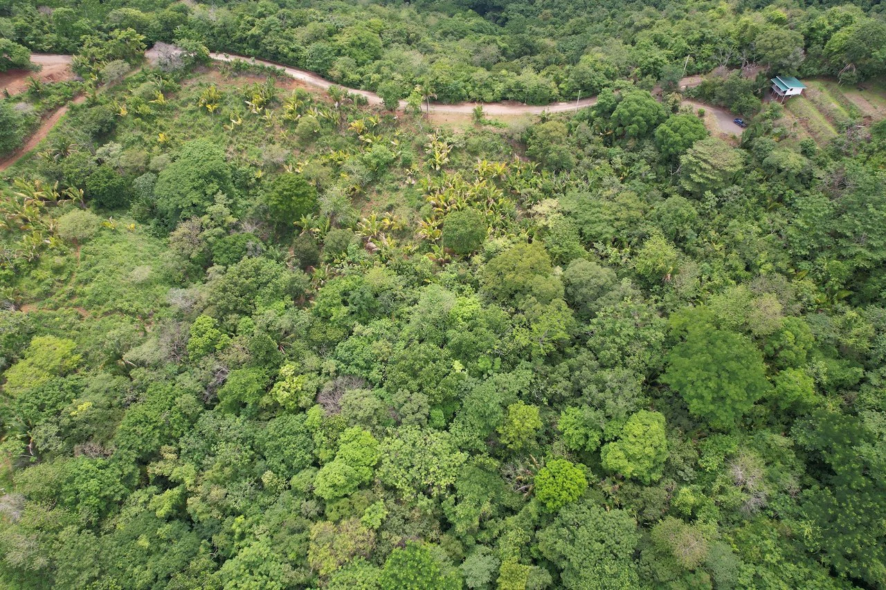 Lotes Paraíso: Spectacular Ocean and Mountain View 5.77 acres Development Land - Gallery image 3