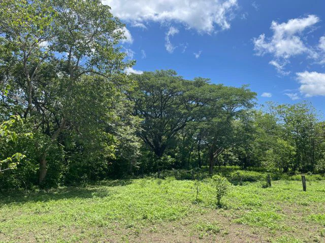 Beautiful building lots for sale, 5 minutes from Liberia, perfect for building your dream home - Gallery image 3