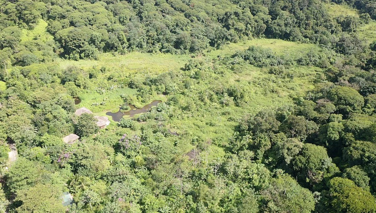60 Acre Fully Sustainable and Impactful Conservation Initiative Near Golfito: Mountain Multi Unit Building For Sale in Golfito - Gallery image 6