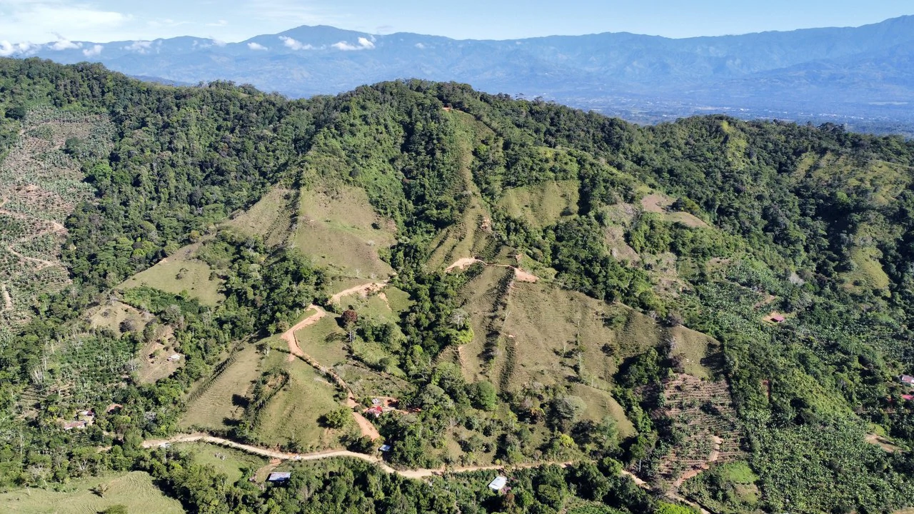 Finca Ceibo Memo: Mountain Home Construction Site For Sale in San Isidro del General - Gallery image 29