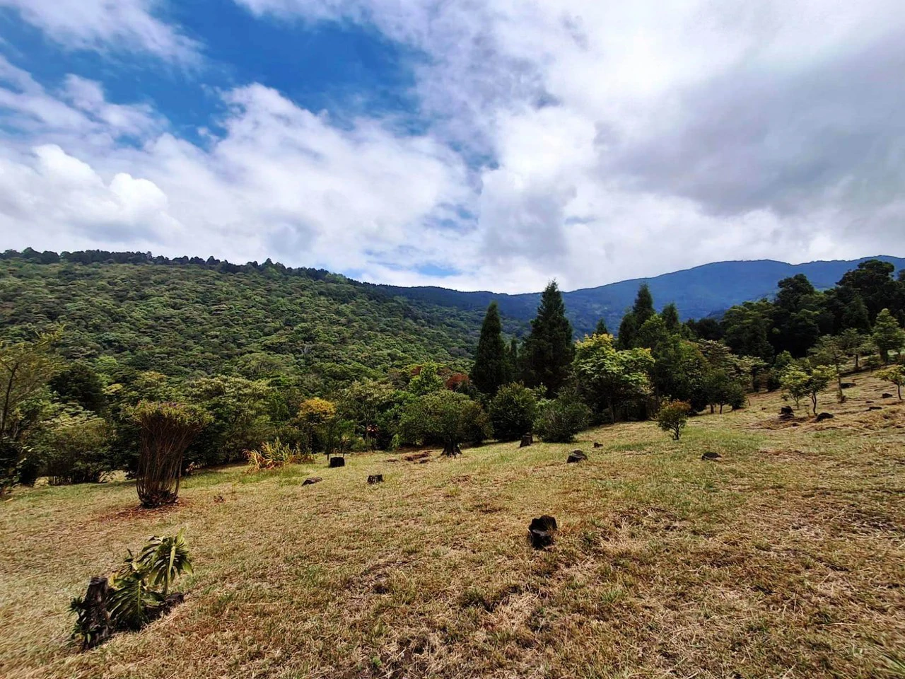 Mountaintop Canvas!: 31,000m2 - Entrepreneur's Dream Property! - Gallery image 8
