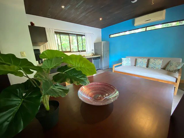 The Urban Sanctuary: Stunning Eco - Conscious 4-unit property in the Heart of Playa Samara, Steps to the Beach, Shops and Restaurants. - Gallery image 18