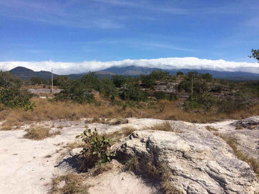 Large Property in Curubandé of Liberia - Gallery image 18