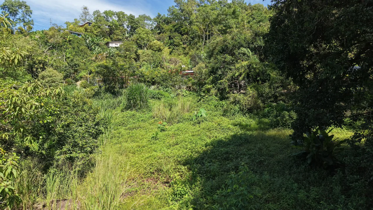 Mountain Home Construction Site For Sale in San Isidro del General - photo 5