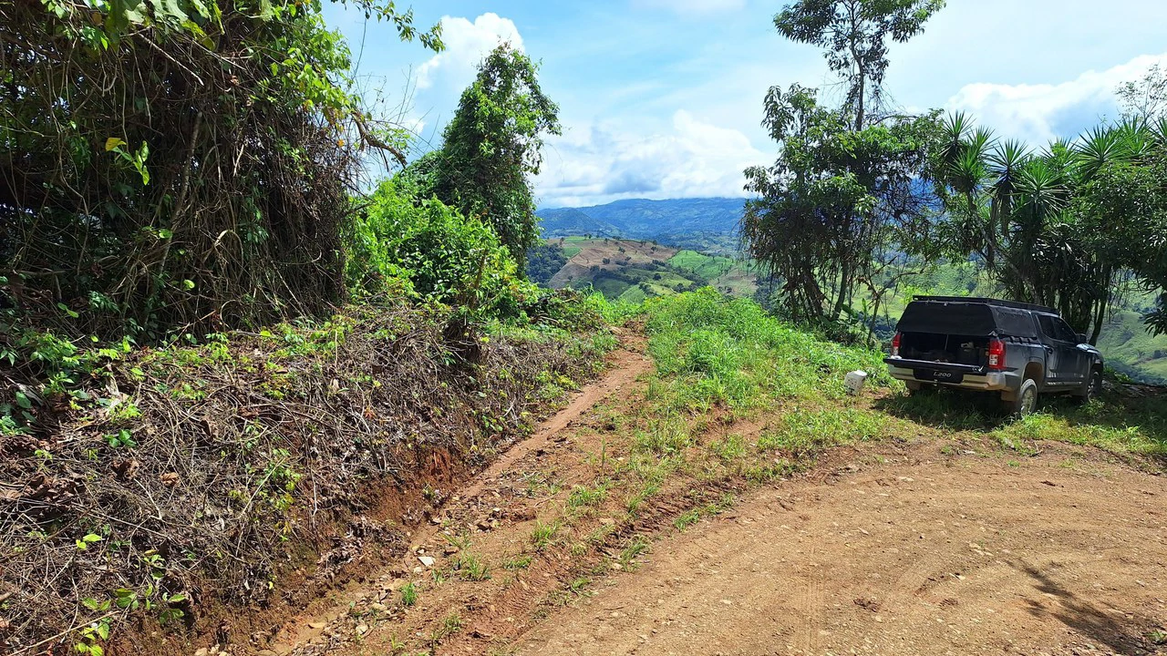 Spacious Lot For Sale In The Heart Of Pejibaye — Private Spring & Mountain Views - Gallery image 6