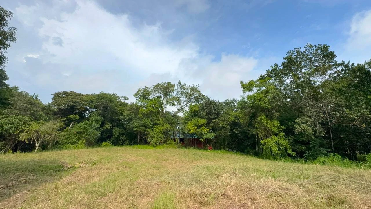 6000m2 Land Near Montezuma and Santa Teresa: ixed use, commercial and residential