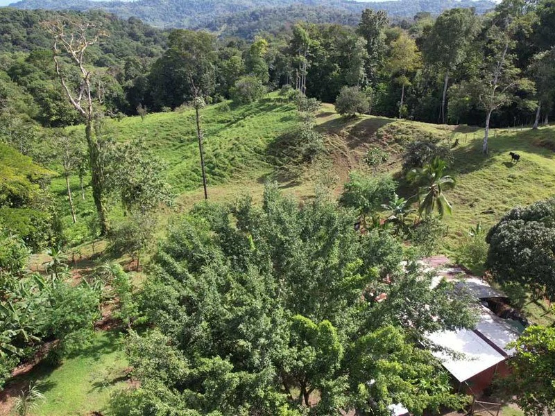 69.16 Acres Property | Mountain & Top Ocean View with Small Home - Gallery image 20