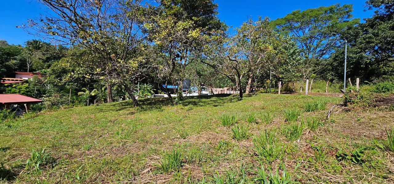 Nature's Gateway: Smart Choice Mixed-Use Property Near Carrillo Beach: Countryside Home Construction Site For Sale in Playa Carrillo - Gallery image 4