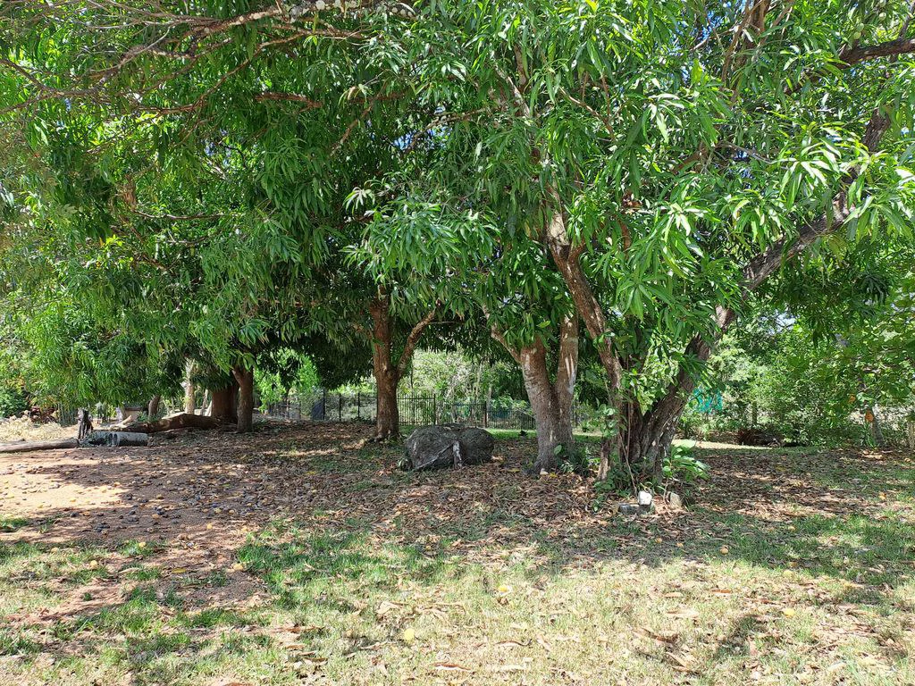 Compound Cooper: Compound Cooper includes Casa Cooper - a Newly constructed in 2023 - 2 Bedroom 1 Bath home set on a spacious 703 m2 lot and Lote Cooper which is 2485 m2 of flat buildable land - both - Gallery image 24