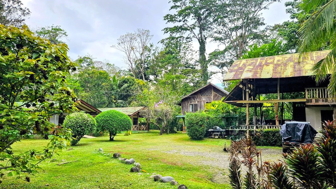 ID 4184: Four House Property near Cahuita,  3km from the Beach - Gallery image 2