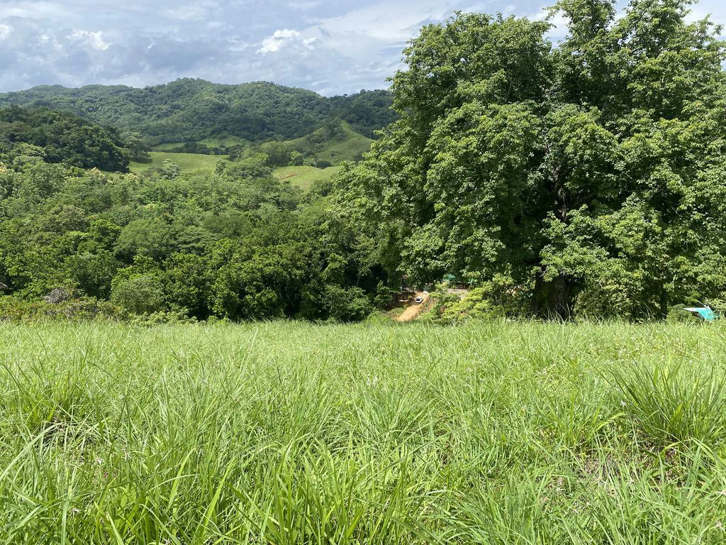 Finca Rio El Carmen: 3 HA Finca with Elevation Across from Renowned Rio Ora, 1 HA parcels available, Three 1700 m2 lots - All available in Rustic El Carmen - Gallery image 2