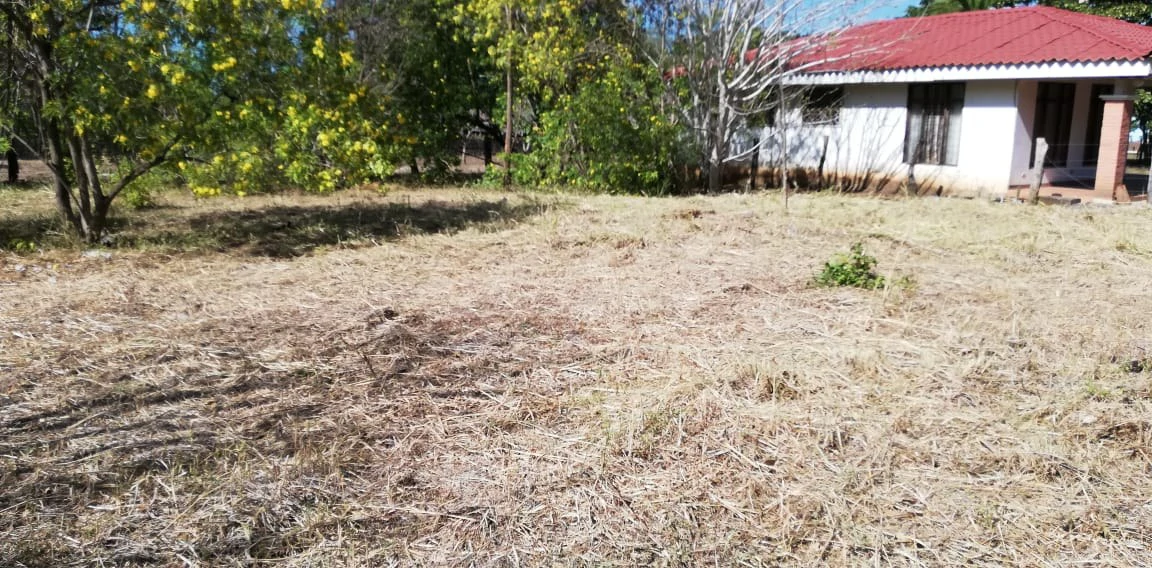 Property in Coco Beach - Gallery image 5