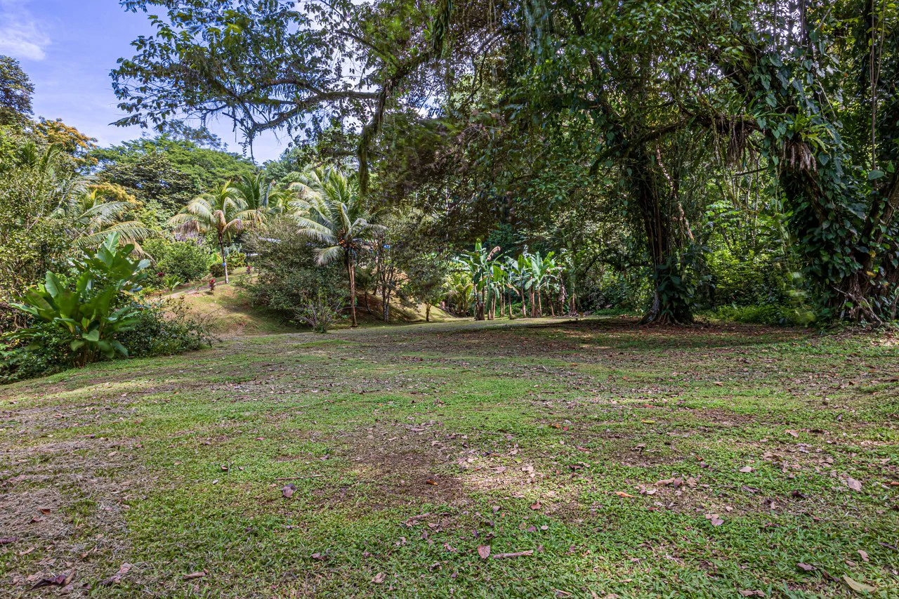 Tropical Hideaway – 7 Acres of Secluded Riverfront with a 3-Bedroom Home: Mountain House For Sale in Bahía Ballena - Gallery image 36