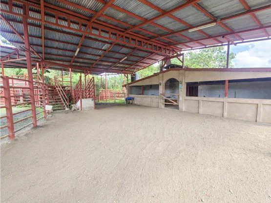 Serene Jungle Farm in Limon Province - Gallery image 56