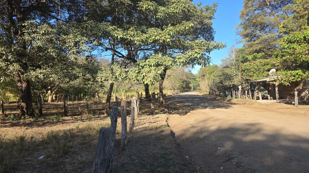 3 Commercial lots for sale in Artola with 70 m of public road frontage - Gallery image 8