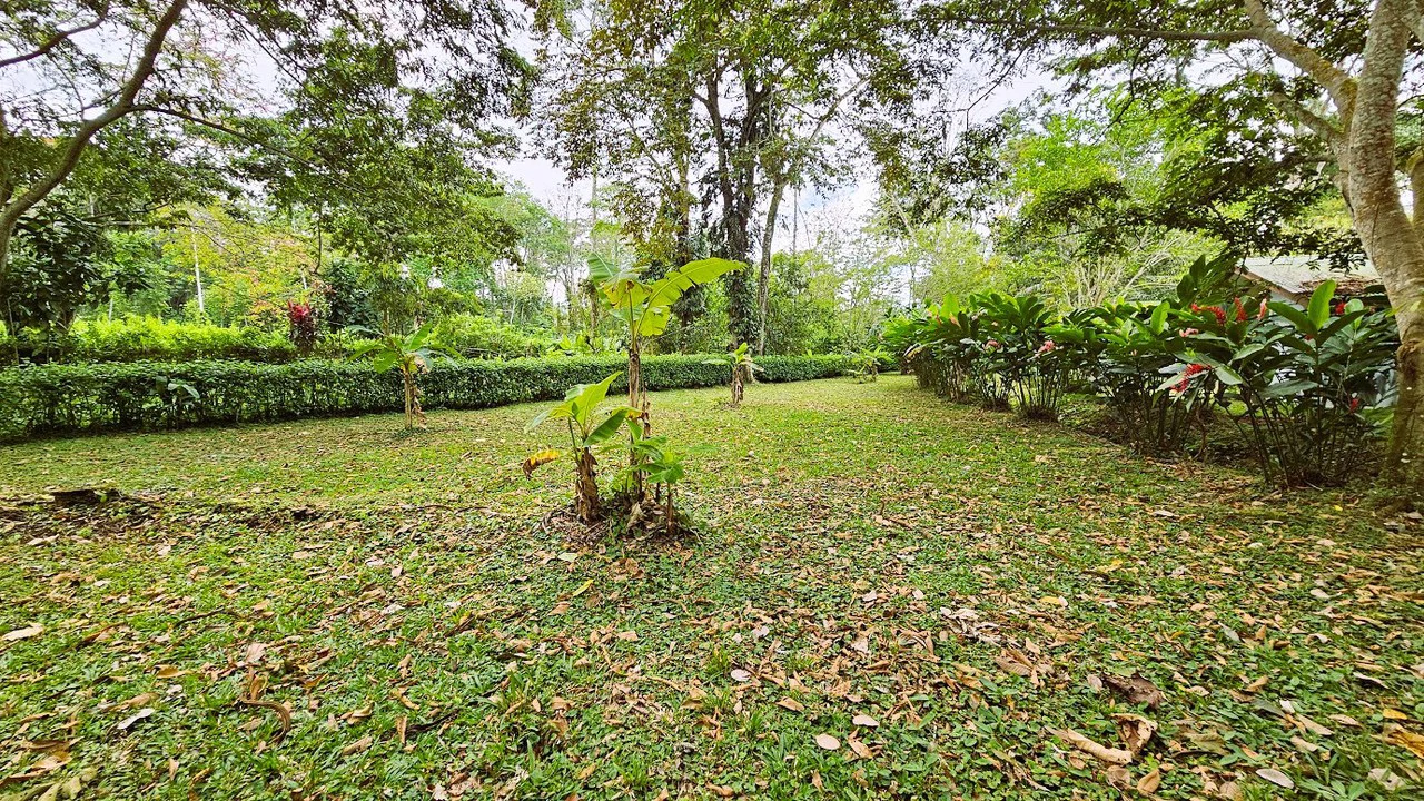 ID 4184: Four House Property near Cahuita,  3km from the Beach - Gallery image 11