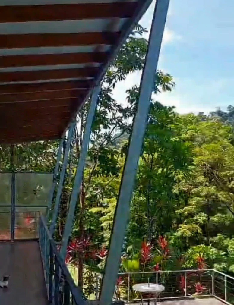 ENCHANTING 43-HECTARE FINCA WITH MODERN WOODEN CABIN AND INFINITY POOL - Gallery image 46