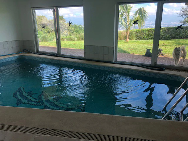 Property in the exclusive green area - San Antonio Escazú with a view of the valley - Gallery image 18