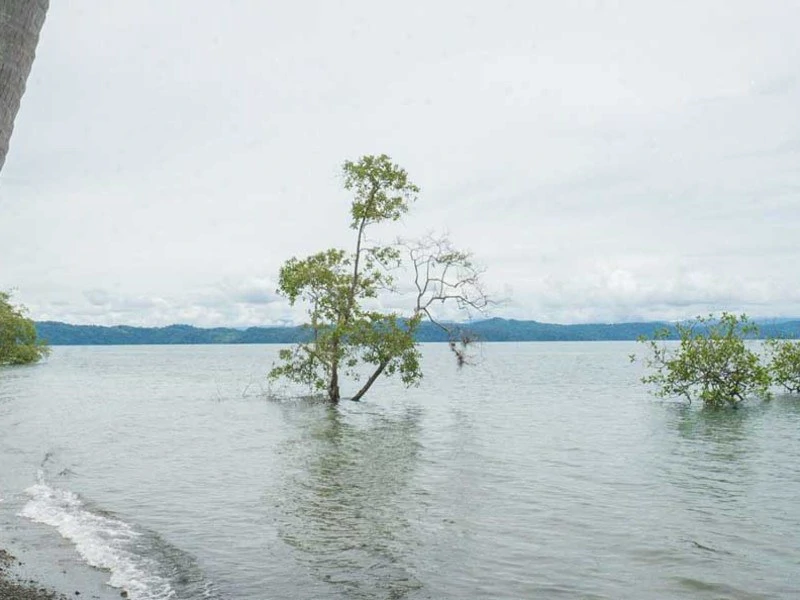 Titled Beach Property in the Osa - Gallery image 16