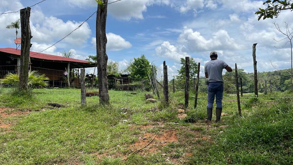 Building potential property for sale, beautiful land in the pure nature close to Bijagua - Gallery image 27
