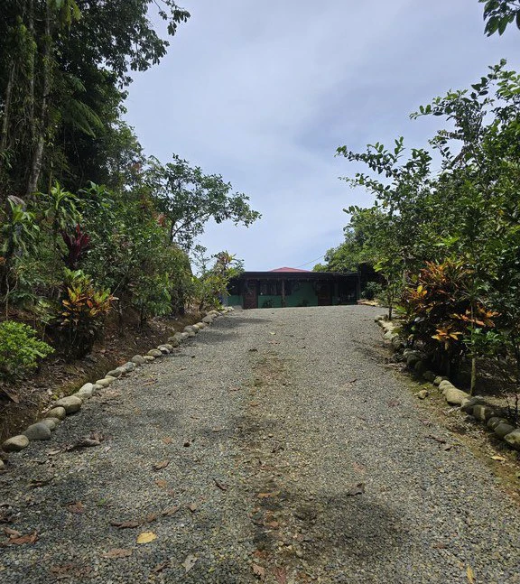 Mountain and Countryside Agricultural Land For Sale in San Isidro del General - Gallery image 10