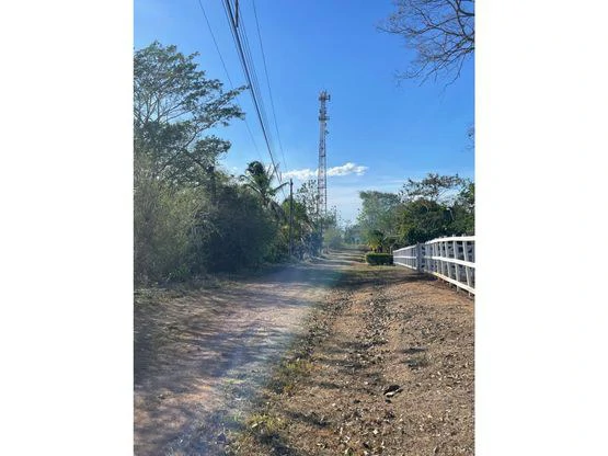 For Sale: This beautiful flat lot in La Ceiba of Orotina - Gallery image 4
