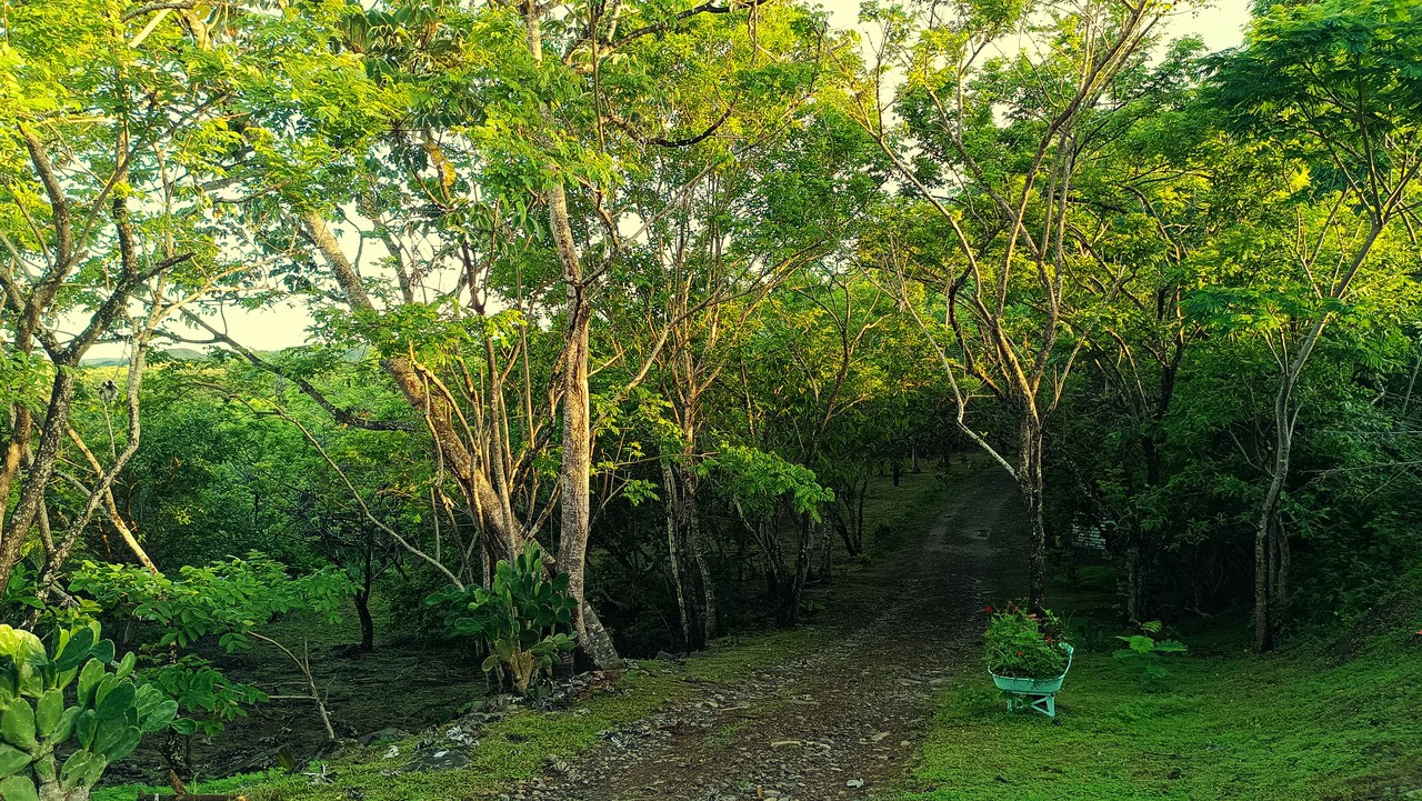 Hill top house with amazing sunset views GB0125: Peaceful Retreat with developing Potential: Property with 2 Homes and Panoramic Views in Guayabo de Bagaces - Gallery image 12