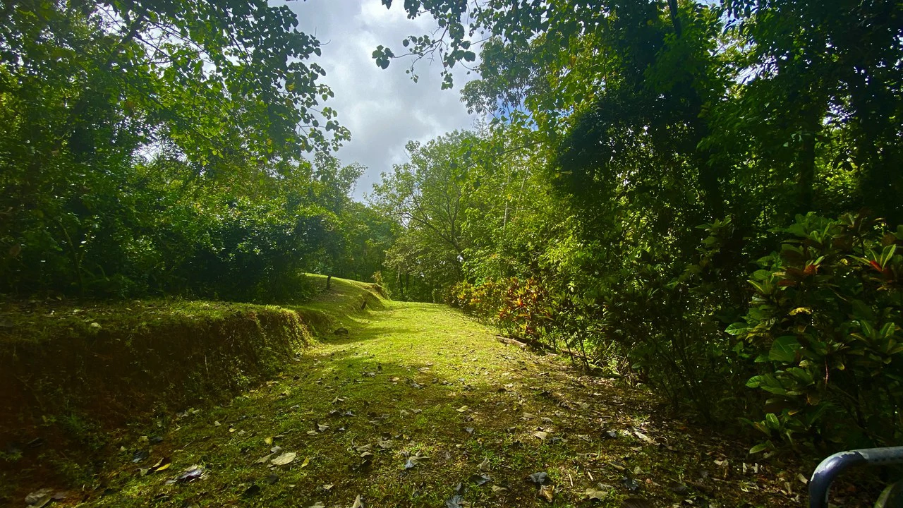 Mountain Home Construction Site For Sale in Tres Rios - Gallery image 16