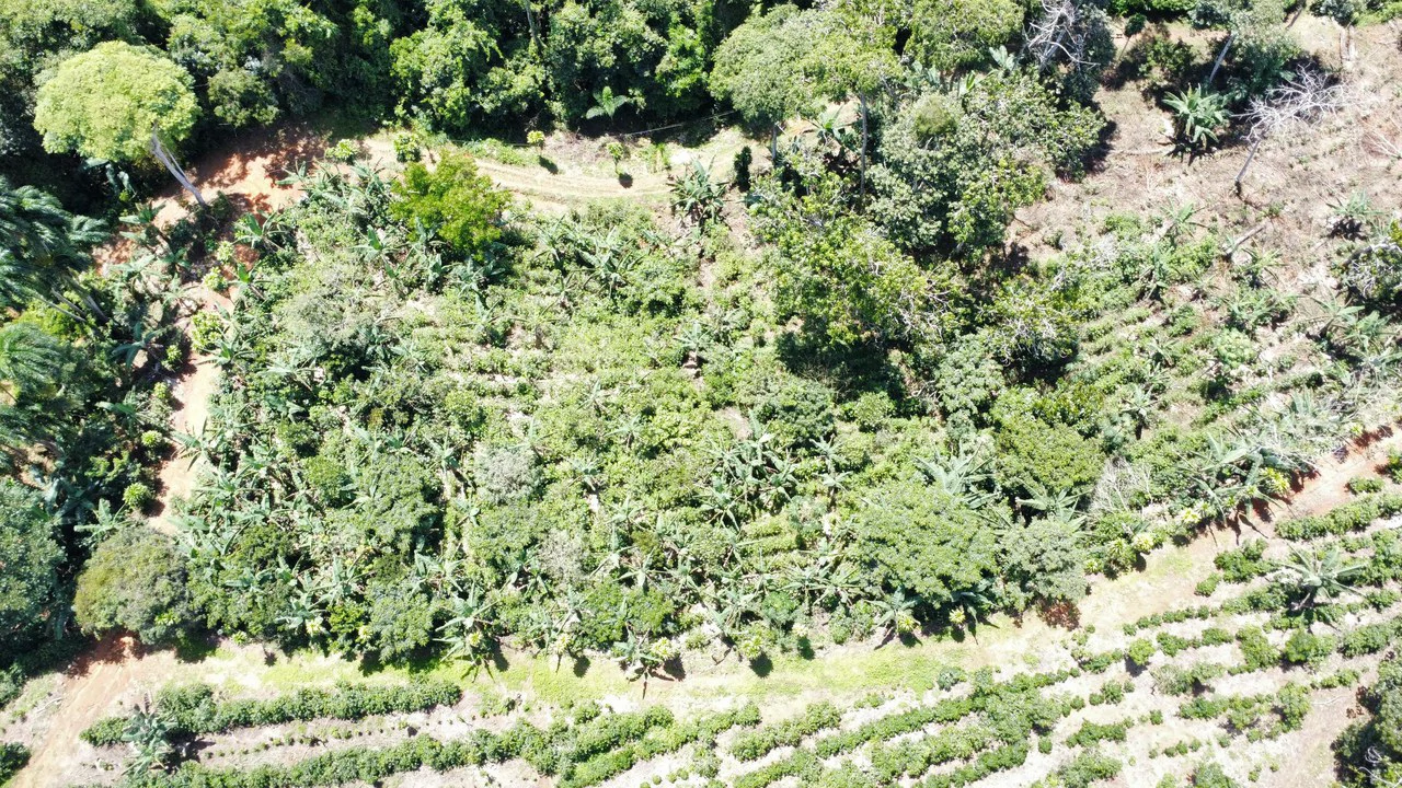 Propiedad en San Rafael de Platanares, Costa Rica: Mountain Home Construction Site For Sale in San Rafael - Gallery image 6