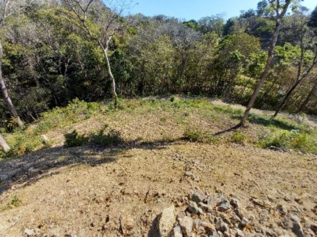 Building Lots for sale in a pristine and peacefull woodland 3 km from Samara Beach - Gallery image 2