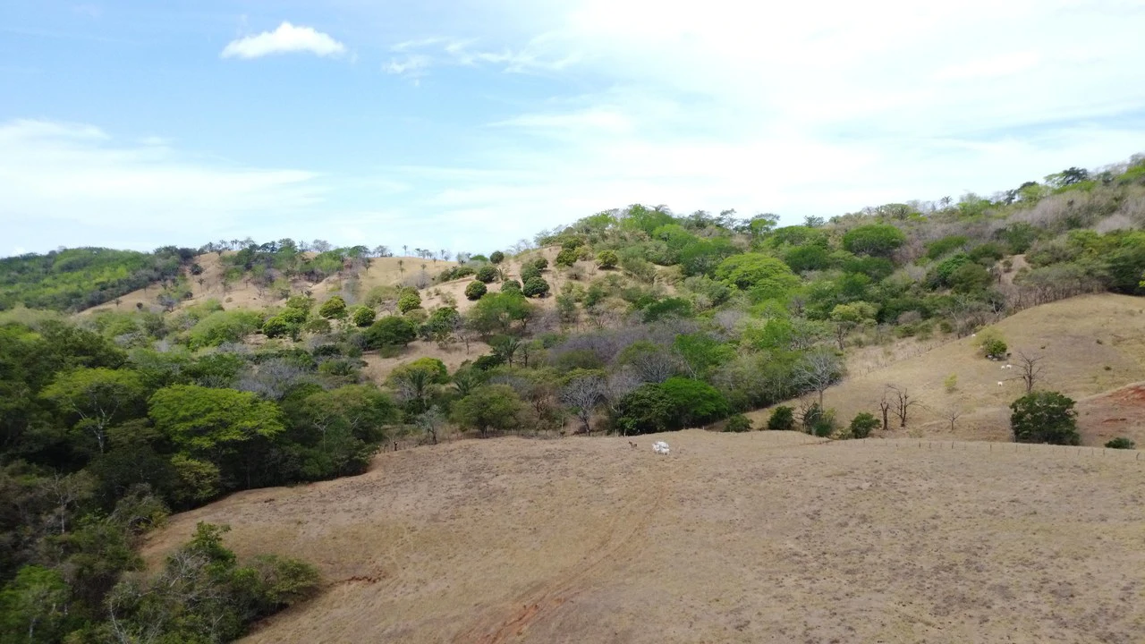 37-Hectare Ocean View Development Property Near Sámara, Buena Vista & Barrigona - photo 12