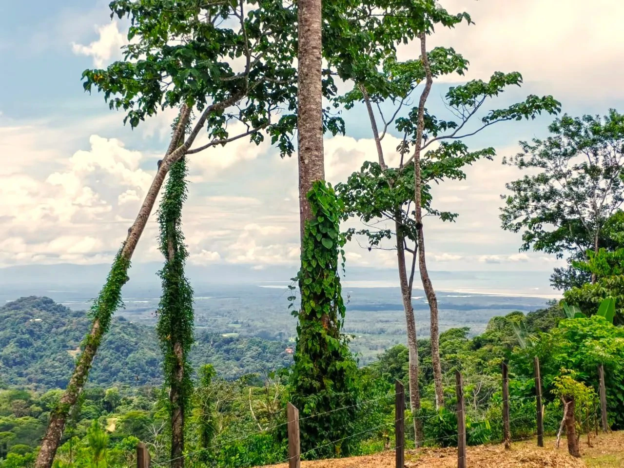 0.46 ACRES – Ocean View Land Just 4 Minutes Away From El Pavon Waterfall, Legal Water And Electricity Available & Ready To Build Site!!!: Mountain and Countryside Home Construction Site For Sale in Tr - Gallery image 3