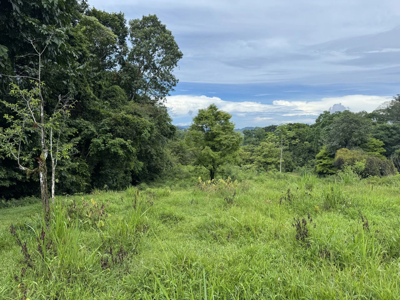 19 Acre Riverfront Lot with Private Waterfall la Perla Dominical - Gallery image 22