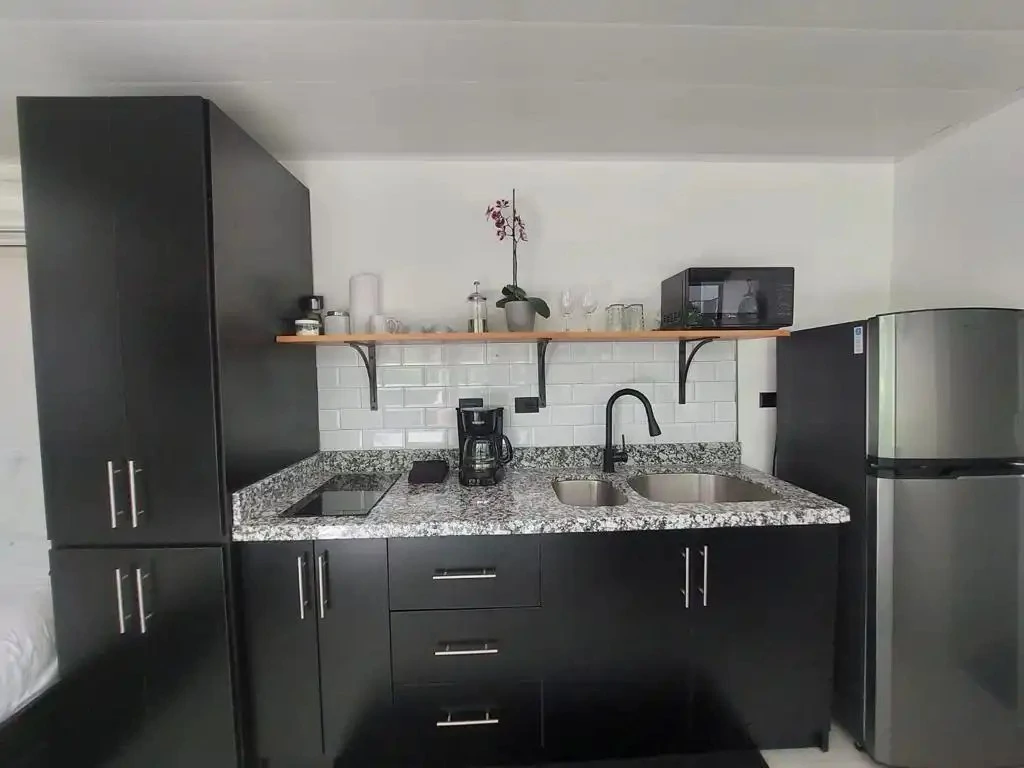 Near the Coast Property For Sale in Playa Tamarindo - Gallery image 8