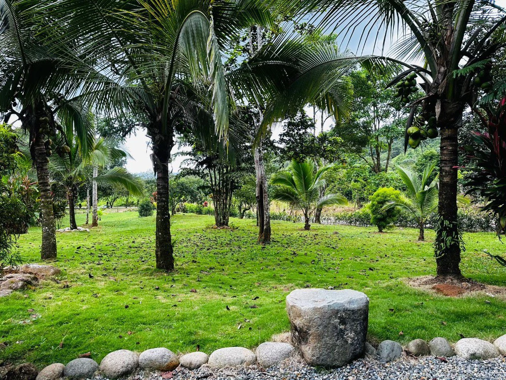 Mountain Home Construction Site For Sale in Convento - photo 5