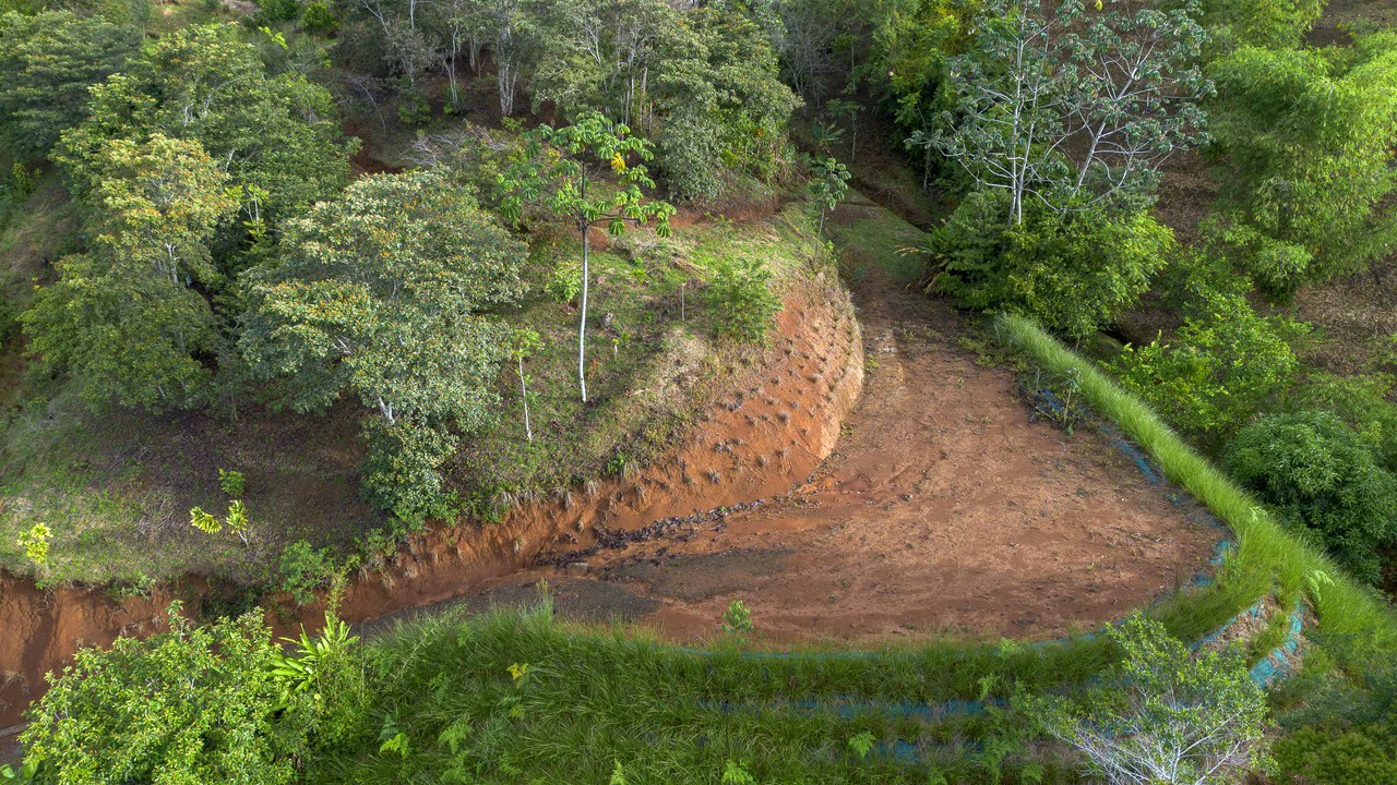 10.21 Acres with Views & Plantels – Pérez Zeledón - Gallery image 25