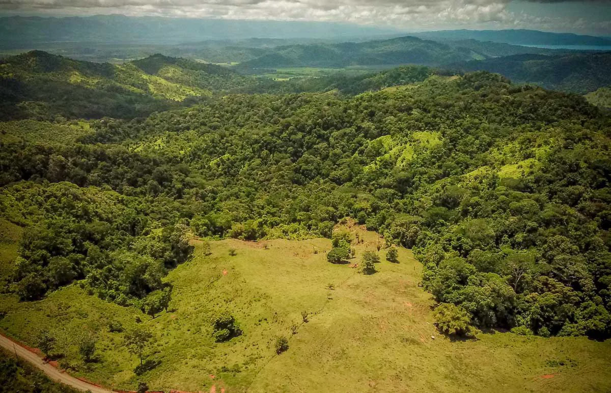 Sierpe Viewpoint on Main Route | San Juan de Sierpe, Puerto Jimenez - Gallery image 6