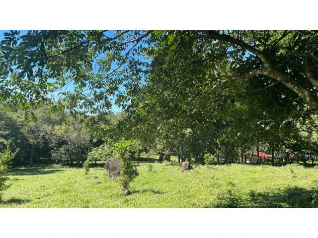 Nature Paradise Farm for sale in the mountains of Quebrada Grande, Building potential property 30 minutes away from Liberia - Gallery image 4