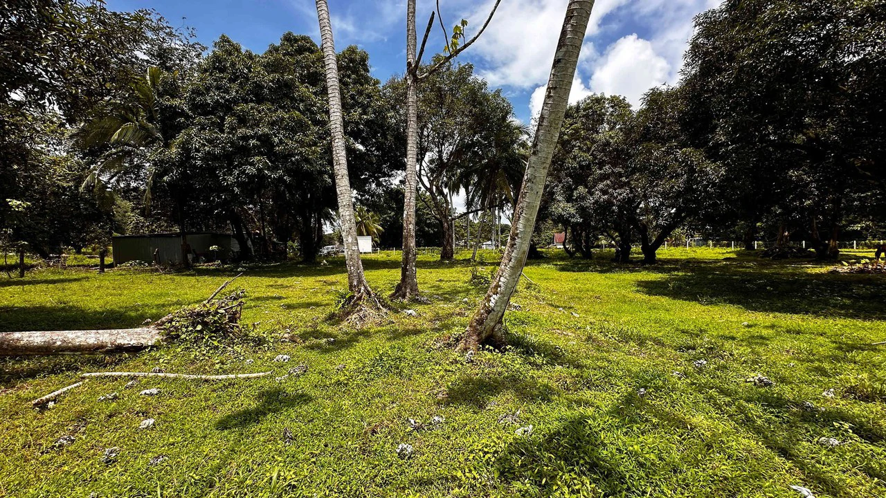 DEVELOPERS DREAM! Bahia, Uvita, walk to the beach!: Mountain Agricultural Land For Sale in Uvita - Gallery image 4