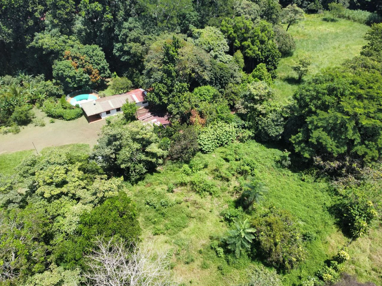 Peace, Privacy, Nature!: Finca in Eco friendly natural area