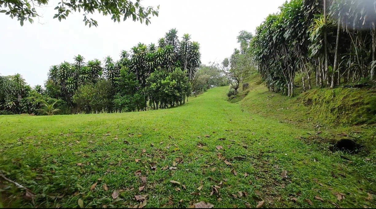 LOTE EN VENTA ALTO SAN JUAN, COSTA RICA: Mountain Home Construction Site For Sale in Barú - Gallery image 5